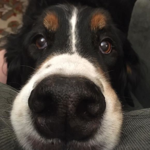 Meet your Posher, Kelly - Picture 1 of 1